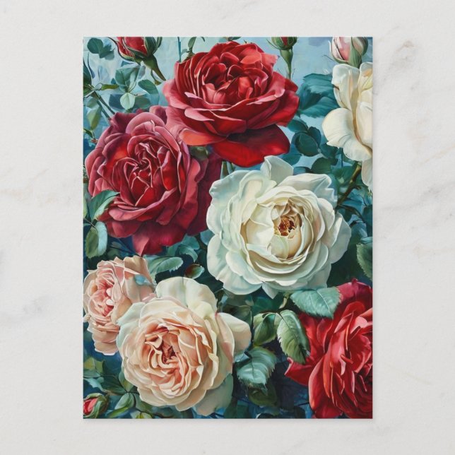 Rosa Pracht. Blumenstrauß aus Rose. Postkarte (Vorderseite)