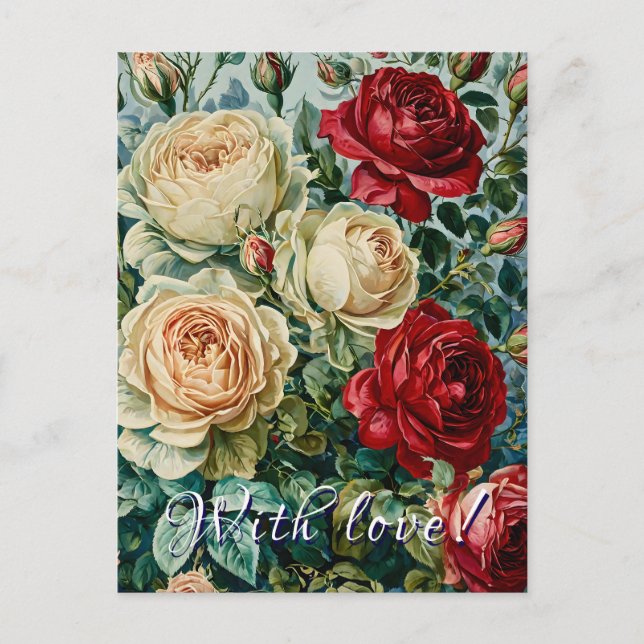 Rosa Pracht. Blumenstrauß aus Rose. Postkarte (Vorderseite)