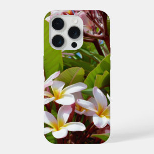 Rosa Pracht, rosa Frangipani blüht an einem Baum iPhone 15 Pro Hülle