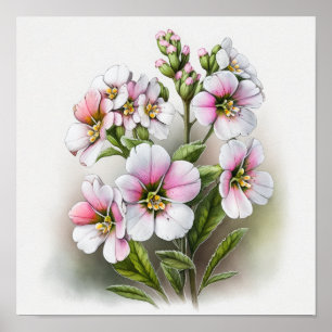 Rosa Primelblumen Kunstprint Poster