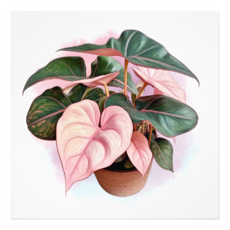 Rosa Prinzessin Philodenron im Pot Fotodruck
