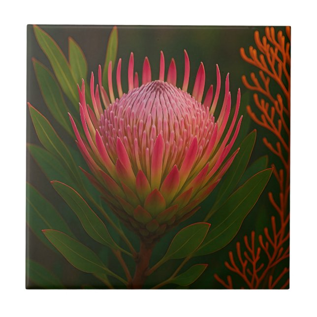 Rosa Protea-Blüte exotische Blüte Fliese (Vorderseite)
