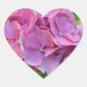 Rosa Quasten Hortensie Blüte Herz-Aufkleber