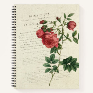 Rosa Rapa Vintage Notizbuch