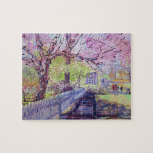 Rosa Redbud-Blüten in Williamsburg Virginia