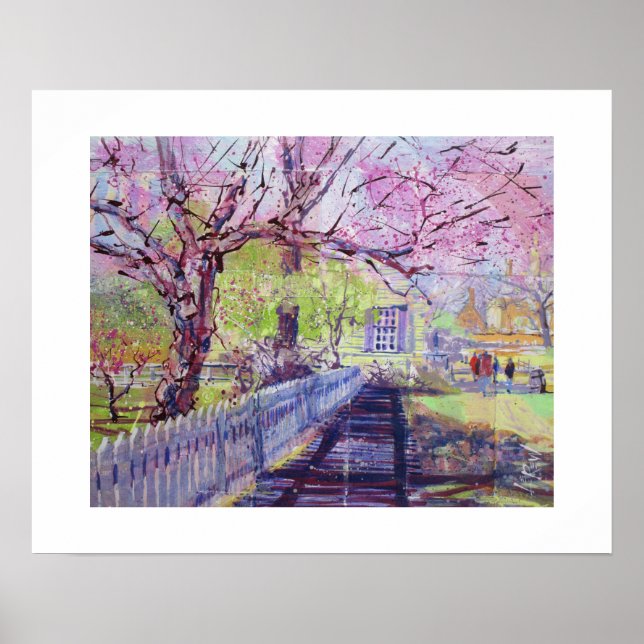Rosa Redbud-Blüten in Williamsburg Virginia Poster (Vorne)