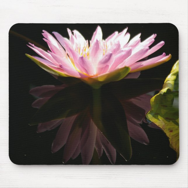 Rosa Reflektion Lotus Wasserlilie Mauspad (Vorne)