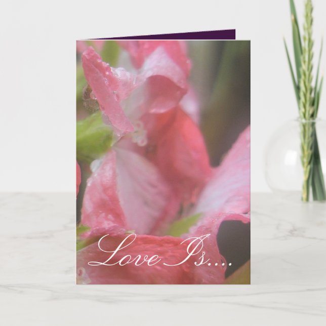 Rosa Regen Karte (Vorderseite)