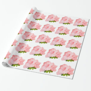 Rosa Rhododendron auf weiß Geschenkpapier