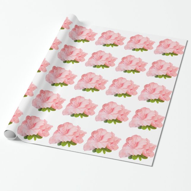Rosa Rhododendron auf weiß Geschenkpapier (Ungerollt)