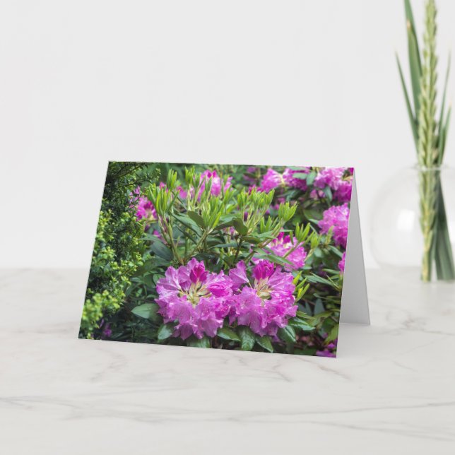 Rosa Rhododendron Blank Note Card Karte (Vorderseite)