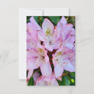 Rosa Rhododendron-Blume Einladung