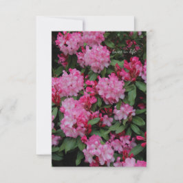 Rosa Rhododendron Mitteilungskarte