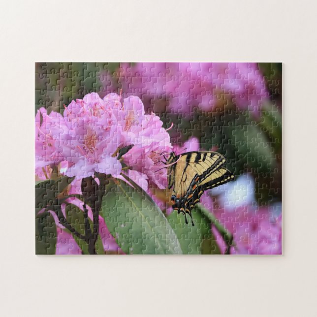 Rosa Rhododendron und Frack Butterfly Füttre (Horizontal)