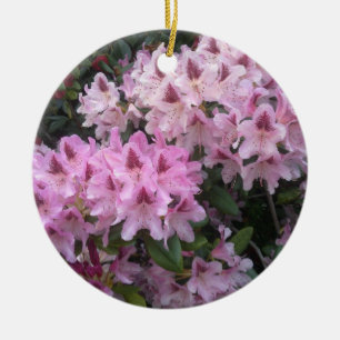 Rosa Rhododendron-Verzierung Keramik Ornament
