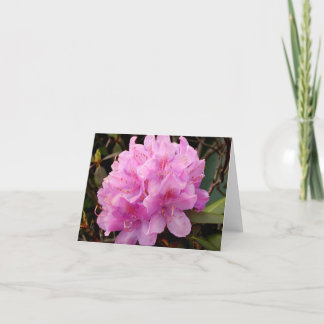 Rosa Rhododendronanmerkungskarte Karte