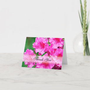 Rosa Rhododendronblüten Danke