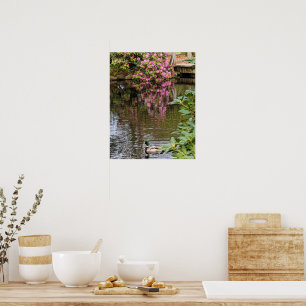 Rosa Rhododendronblüten Wasserreflexion Poster