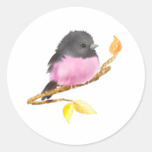 Rosa Robin Bird Sticker