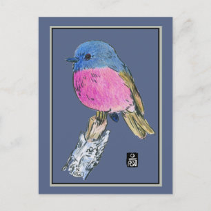 Rosa Robin Colorful Small Bird Postkarte