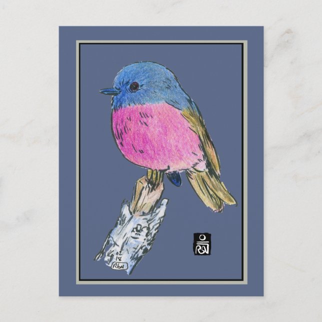 Rosa Robin Colorful Small Bird Postkarte (Vorderseite)