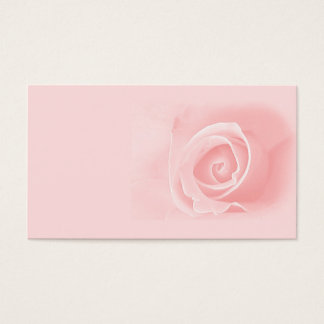 Rosa Rosa