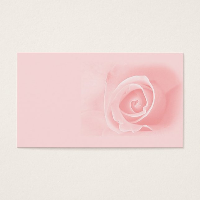 Rosa Rosa (Vorderseite)