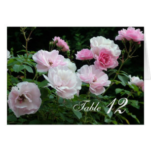 Rosa rosa Blume Abendessen Tischnummer Karte.