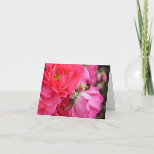 Rosa Rosa Blume Blankokarte Dankeskarte