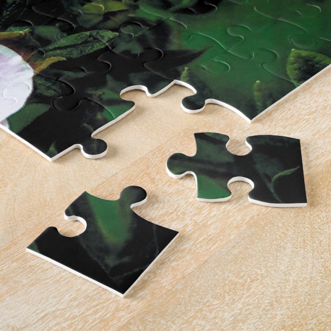 Rosa Rosa-Blume in grün, elegant (Seite)