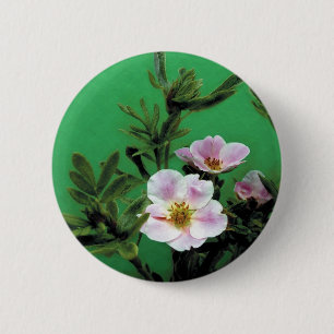 Rosa Rosa-Blume in grün, elegant Button