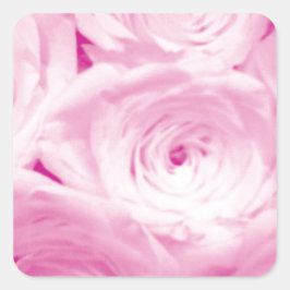 Rosa Rosa Blume Vierkantaufkleber für die Gastgesc Quadratischer Aufkleber