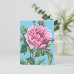Rosa rosa Blüten mit grünen Blättern Postkarte