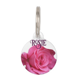 Rosa Rosa Blütenblüte Rosie Hund Katzenname Haustiermarke