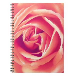 Rosa-Rosa-Druck Notizblock