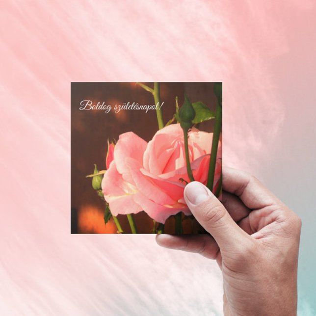 Rosa Rosa Foto - Ungarischer Geburtstag (Von Creator hochgeladen)