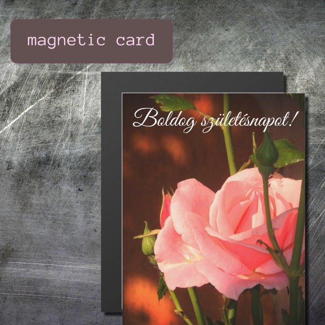 Rosa Rosa Foto - Ungarischer Geburtstag Magnetkarte (Von Creator hochgeladen)