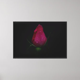 Rosa rosa gesteppte Leinwand