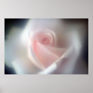 Rosa rosa Großes Poster/Druck Poster