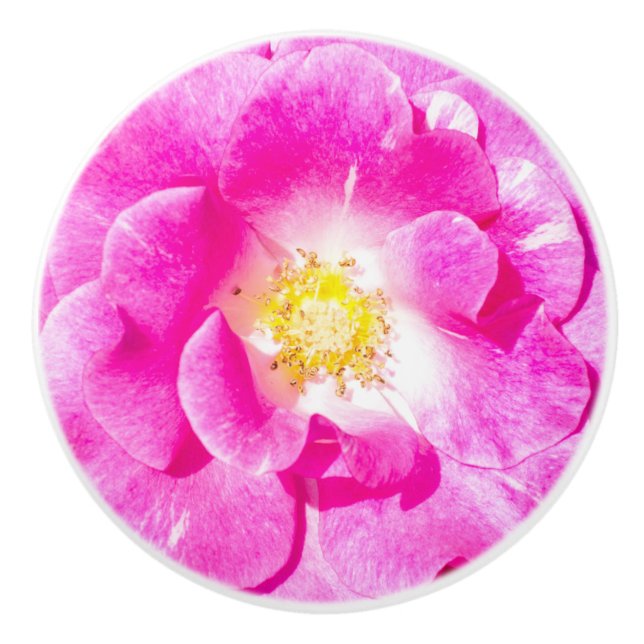 Rosa Rosa Keramikknauf (Vorderseite)