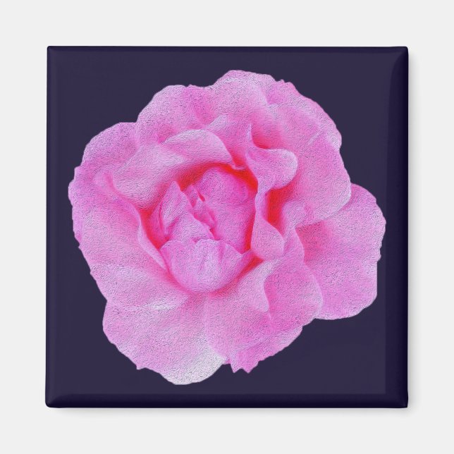 Rosa Rosa Magnet (Vorne)