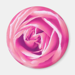 Rosa Rosa Magnet