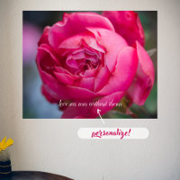 Rosa Rosa