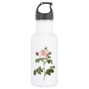 Rosa-Rosa (Rosa alba regalis) von Redouté Edelstahlflasche