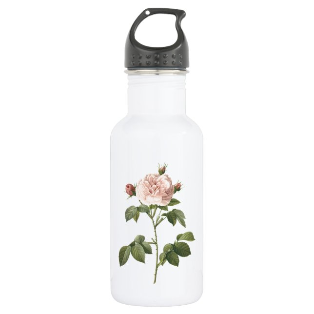 Rosa-Rosa (Rosa alba regalis) von Redouté Edelstahlflasche (Vorderseite)