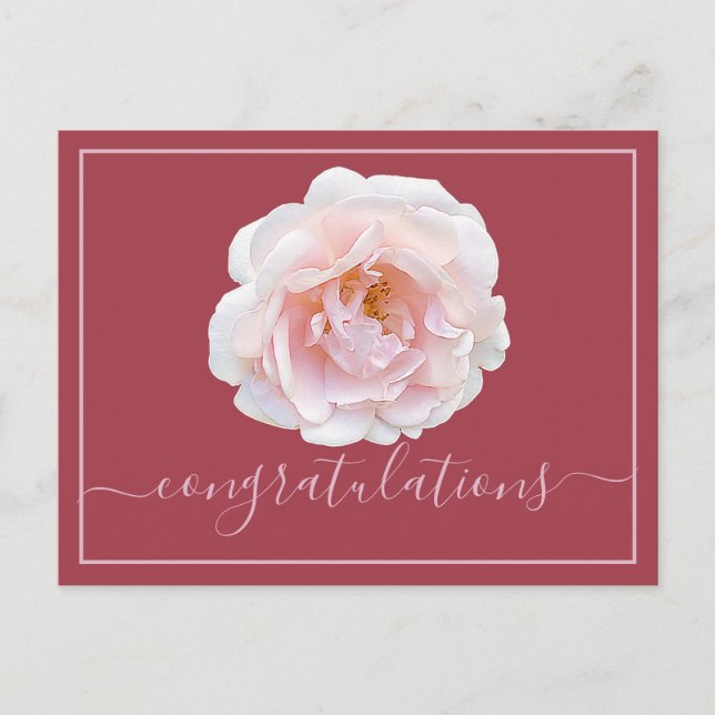 Rosa Rosa Rosa Hintergrund Herzlichen Glückwunsch Postkarte (Vorderseite)