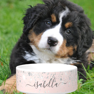 Rosa Rosa Rosa Silbersilber Glitzer Staubname Napf