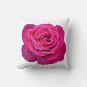 Rosa Rosa Schönheit Kissen