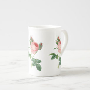 Rosa rosa Vintage botanische Abbildung Prozellantasse