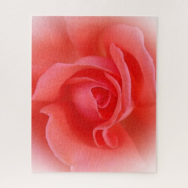 Rosa Rose (Vertikal)